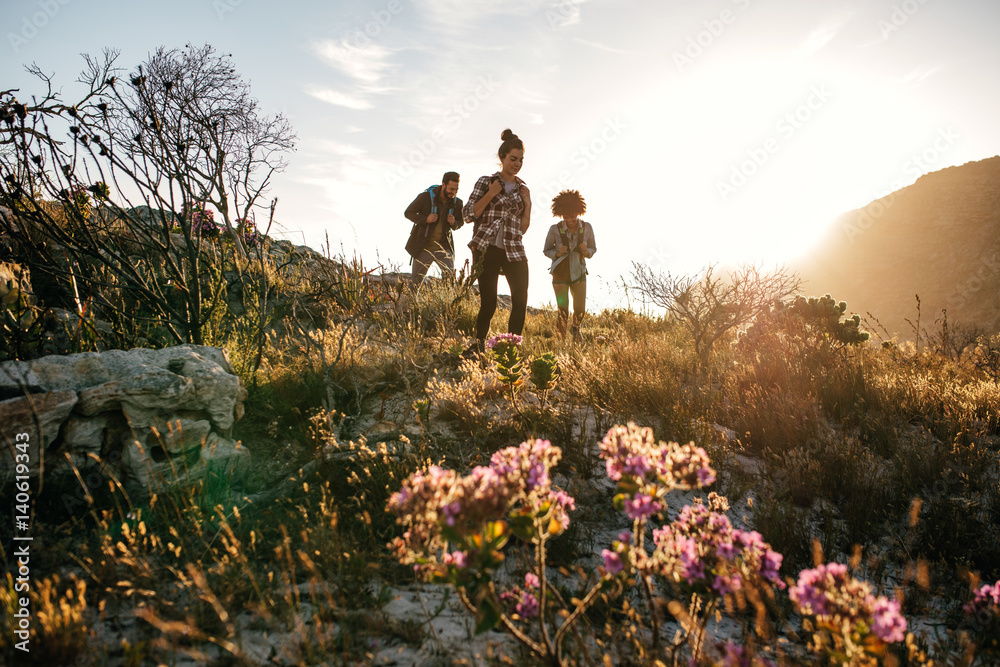 Young men and women hiking in countryside