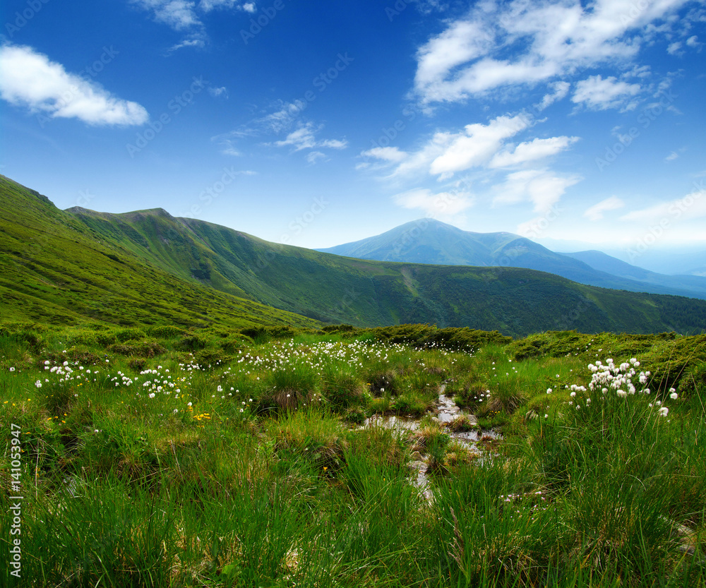 Mountain landscape in summer