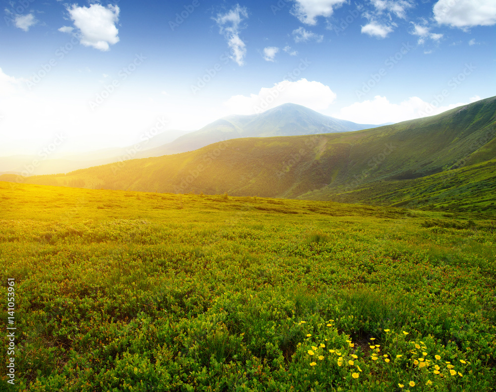 阳光下的山景