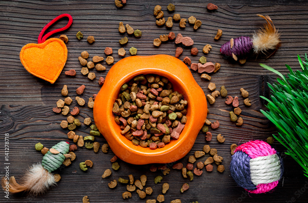 dry cat food in bowl on wooden background top view