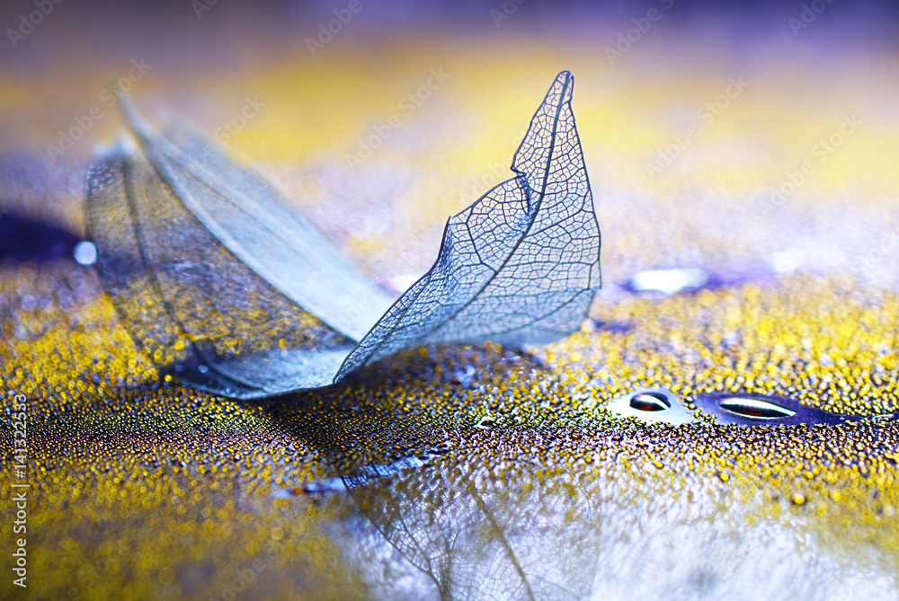 Transparent blue sheet on a glass with drops of dew water on a yellow and purple background macro so