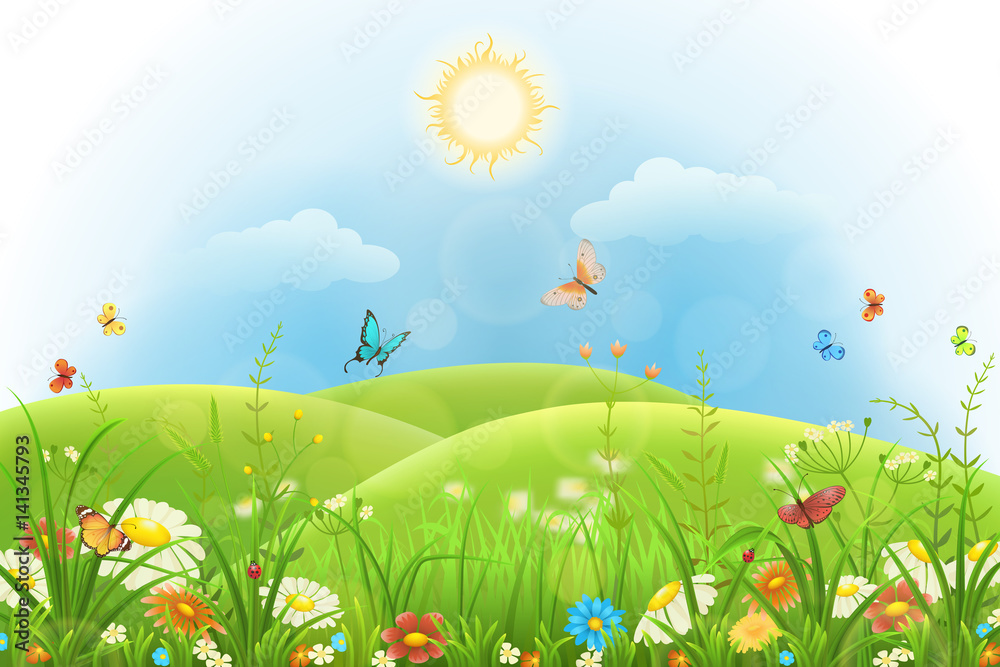 Summer background with green grass, flowers, butterflies, hills and sun