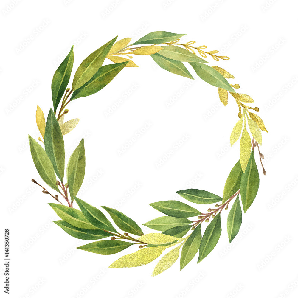 Watercolor Bay leaf wreath isolated on white background.