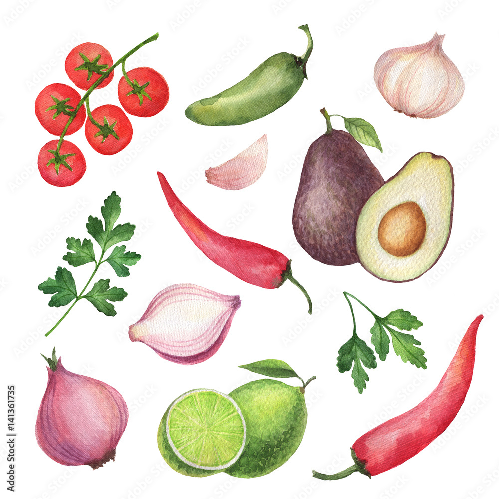 Watercolor traditional Mexican guacamole ingredients.