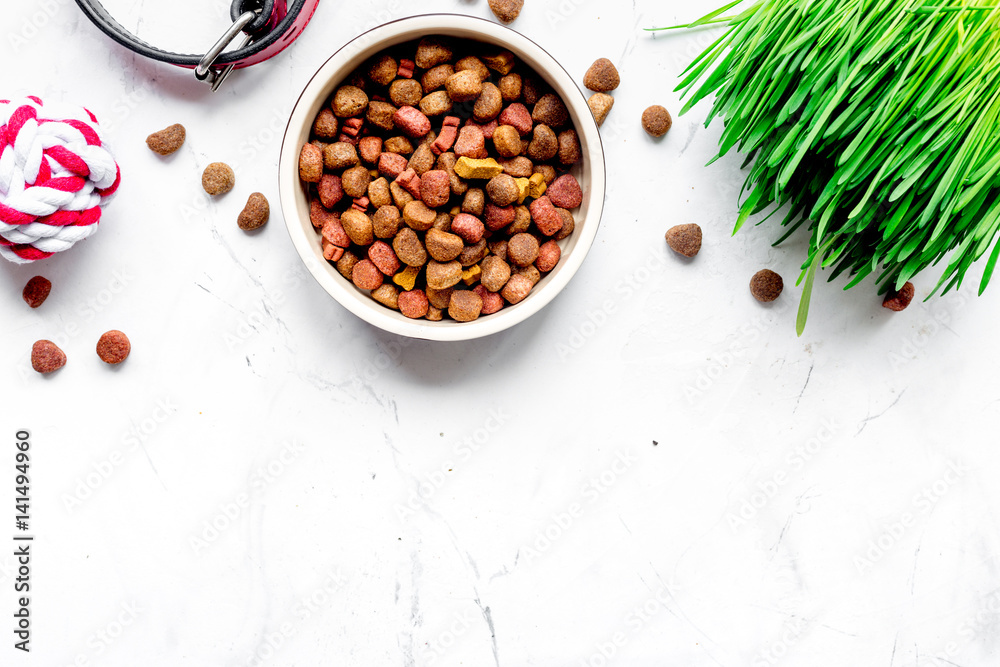 dry dog food in bowl on stone background top view