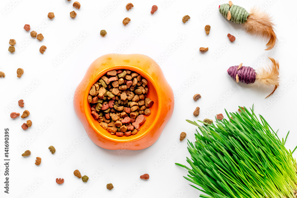 dry cat food in bowl on white background top view