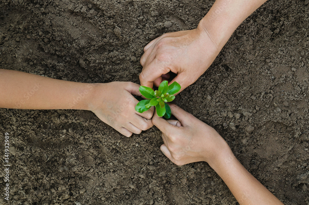 Growing concept eco Group three hand  children planting together