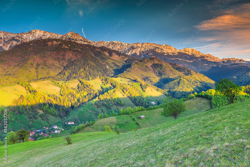 Summer rural landscape and wilderness near Bran, Transylvania, Romania, Europe