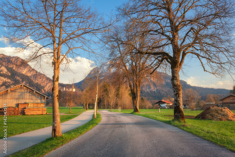 Amazing rural road with trees, colorful green grass, mountains and blue sky with clouds in the eveni