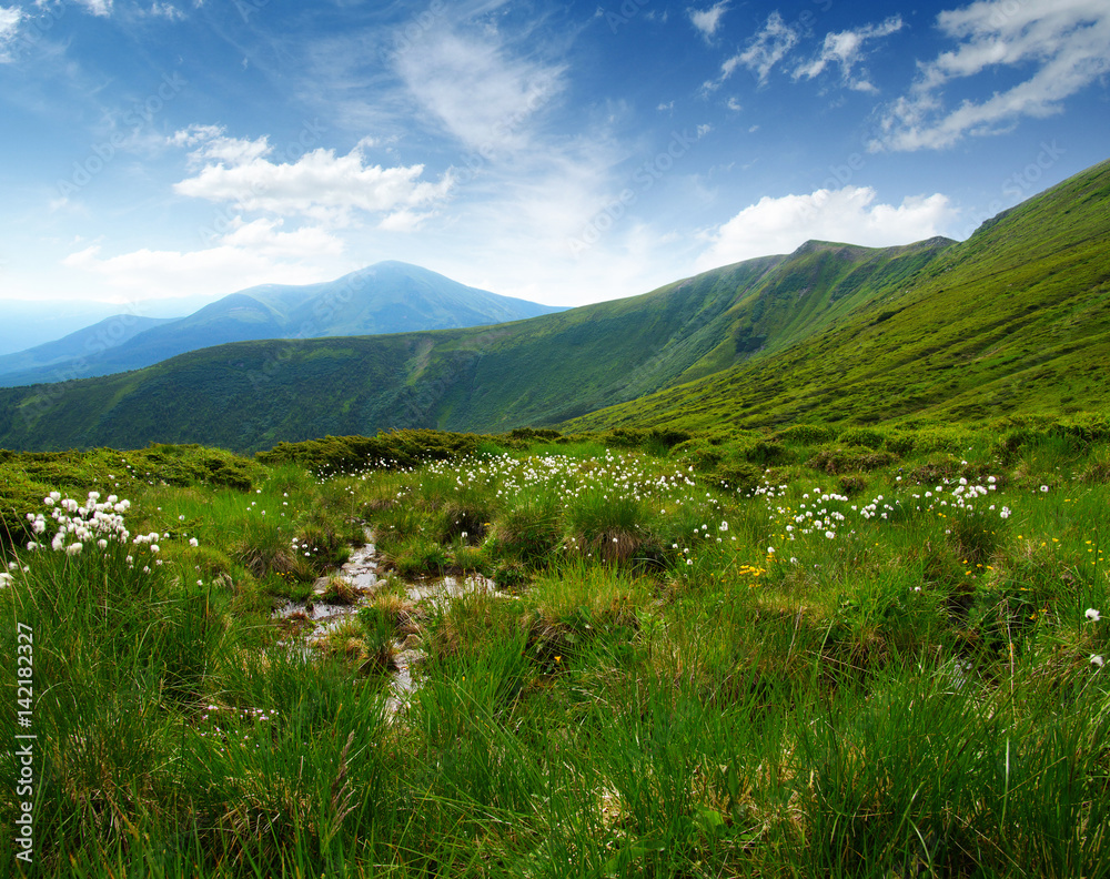 夏日山景