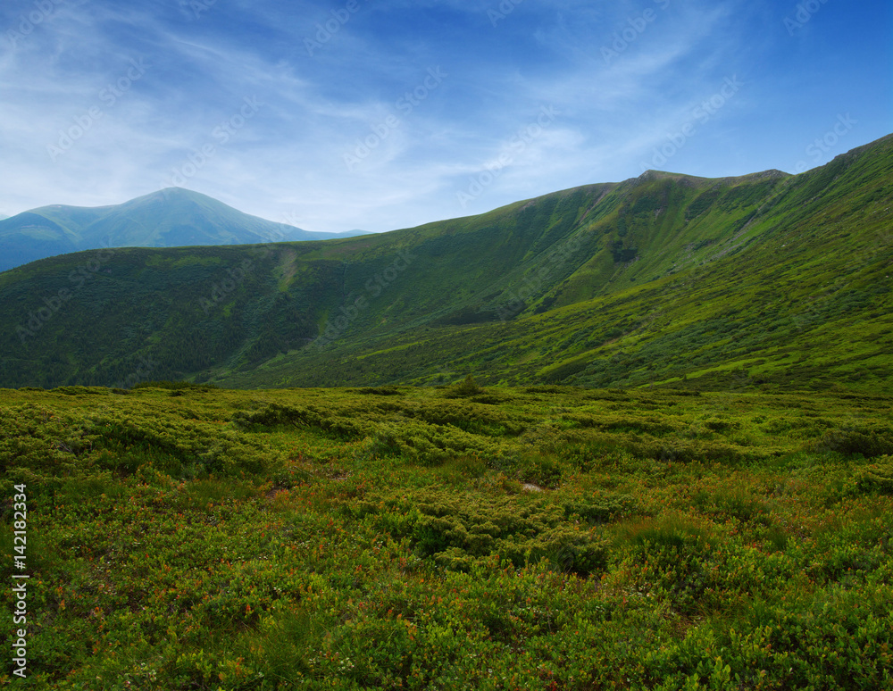 夏日山景