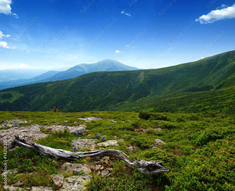 夏日山景