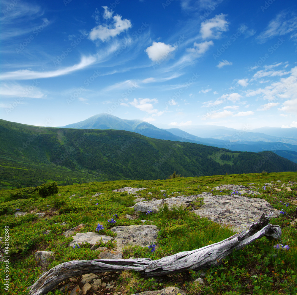 夏日山景