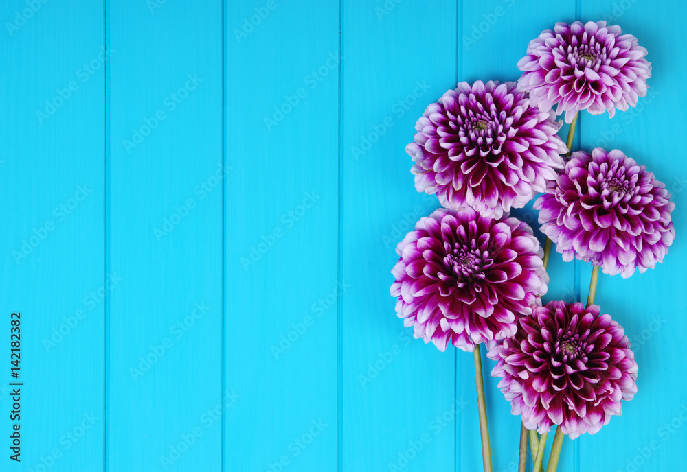  Flowers on blue painted wooden planks.