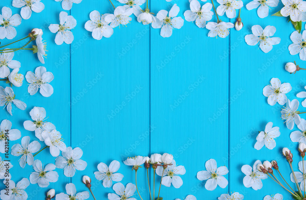  blossom on blue wood background