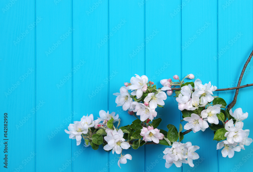 Spring flowering branch on wooden background.