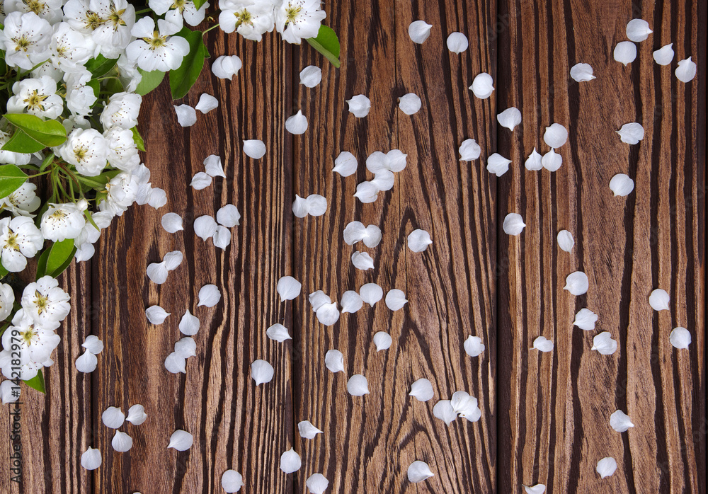  Spring flowers on wood