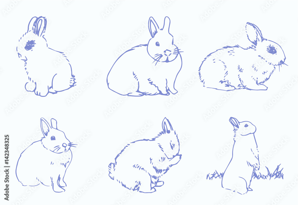 Vector set of rabbits