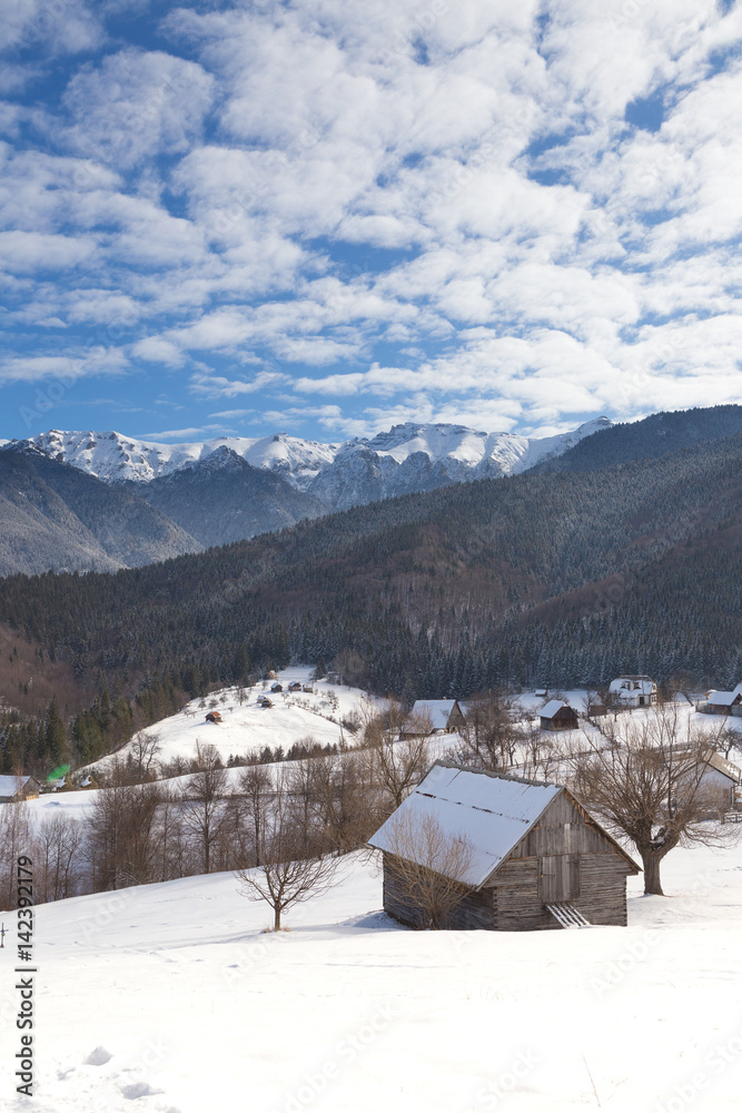 美丽的布拉索夫野生县的冬季山地景观