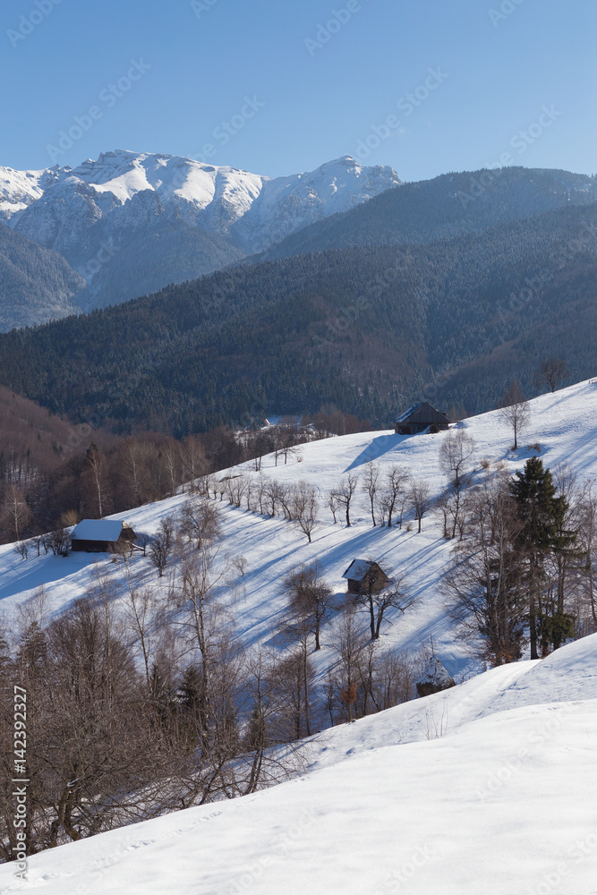 Beautiful winter mountain landscape with snowflakes in frosty winter day. Carpathian wild mountains.