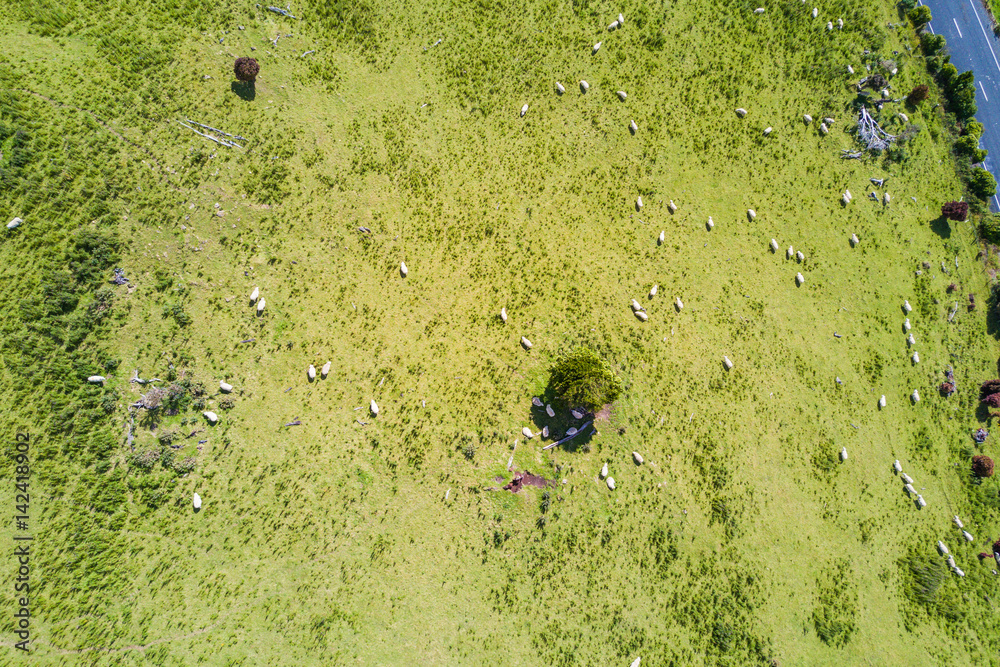 00:00 | 00:26
1×

Aerial view of Green hills and valleys of the South Island, New Zealand