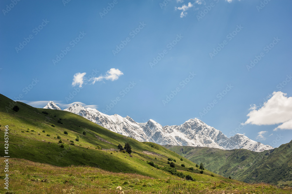 高山草甸和岩石山脉