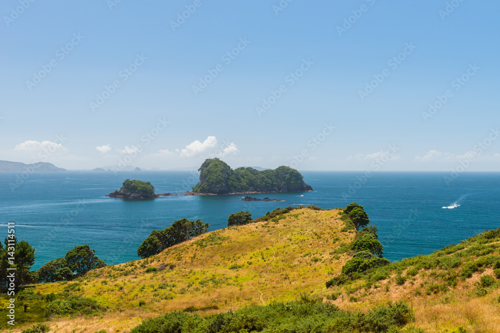 新西兰科罗曼德尔半岛北岛的Te Whanganui-A-Hei（大教堂湾）海洋保护区