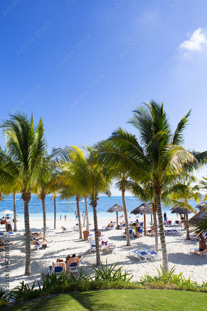 Vacation in the paradise. Sun bed coconut trees and white sand next to a turquoise water.