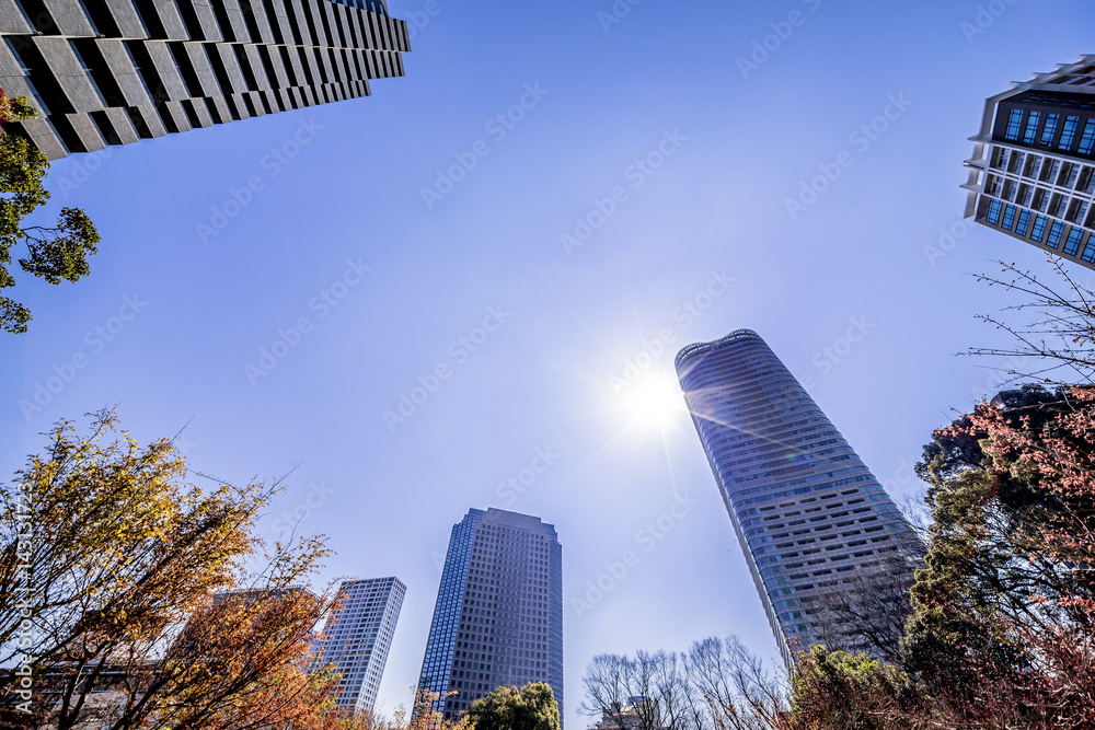 東京のビル群