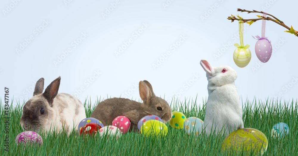 Rabbits and Easter eggs in the mountain