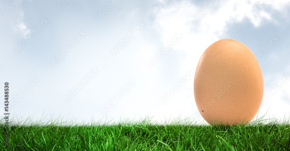 Egg in front of blue sky