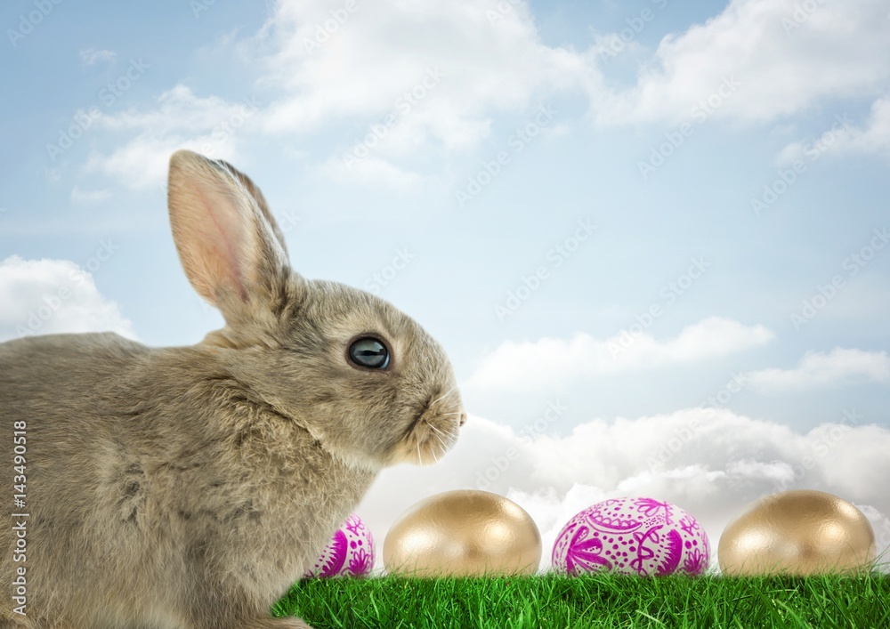 Easter rabbit with eggs in front of blue sky