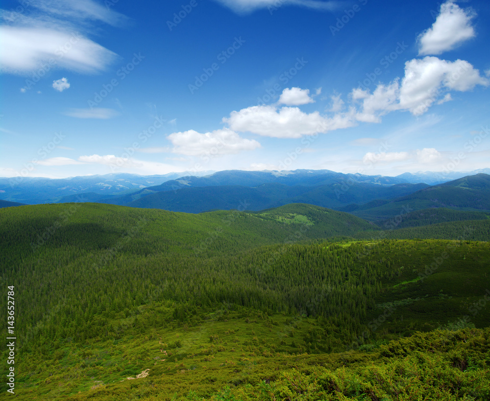 夏日山景