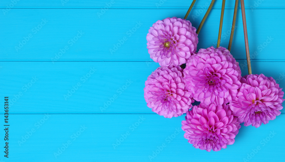 蓝色木板上的花朵。