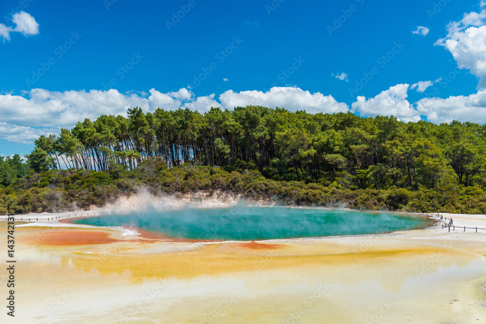 香槟池里的水沸腾-新西兰Wai-O-Tapu