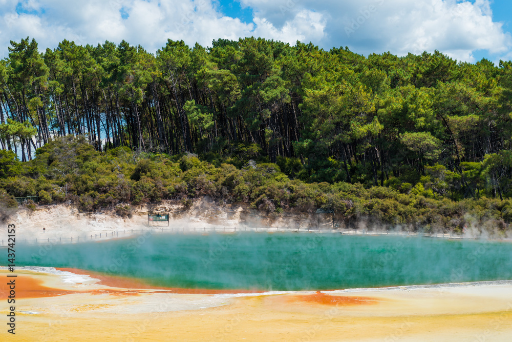 香槟池中的沸水-新西兰Wai-O-Tapu