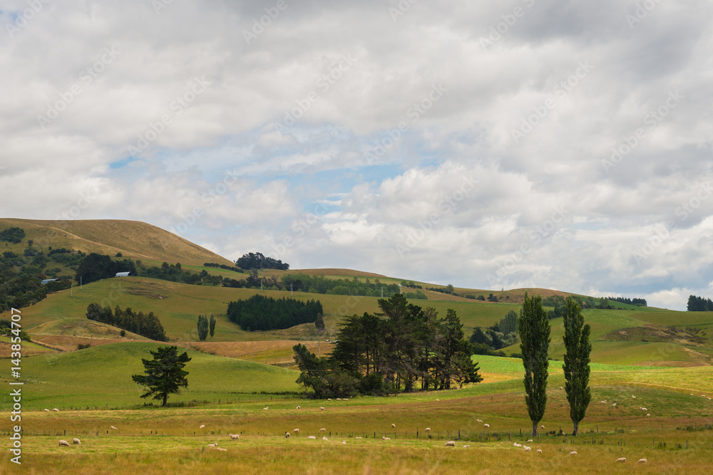 view of Green hills and valleys of the South Island, New Zealand