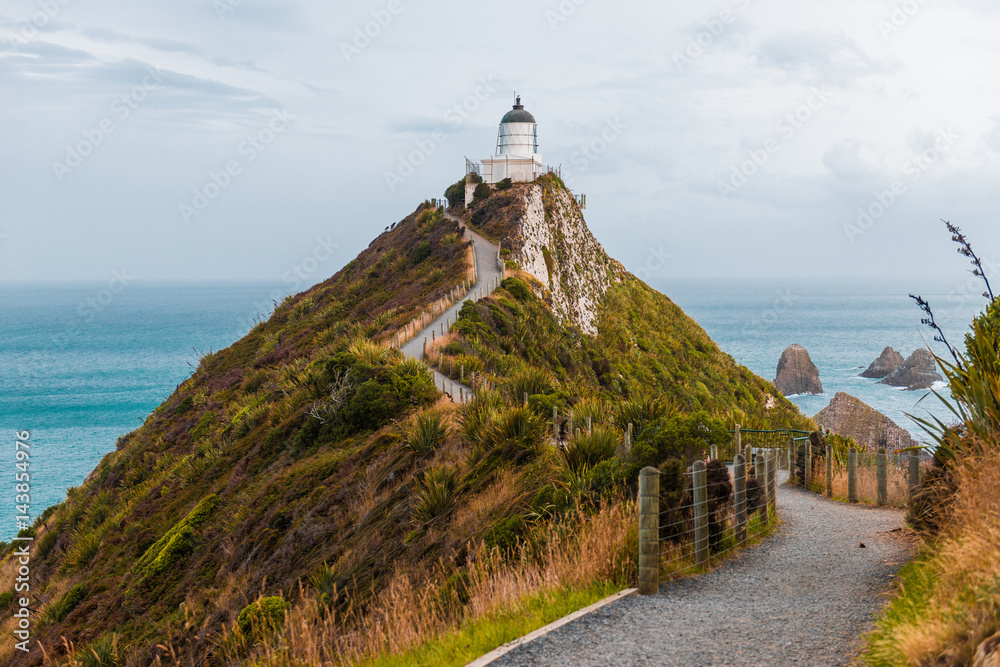 view of Nugget Point Lighthouse, Otago, New Zealand