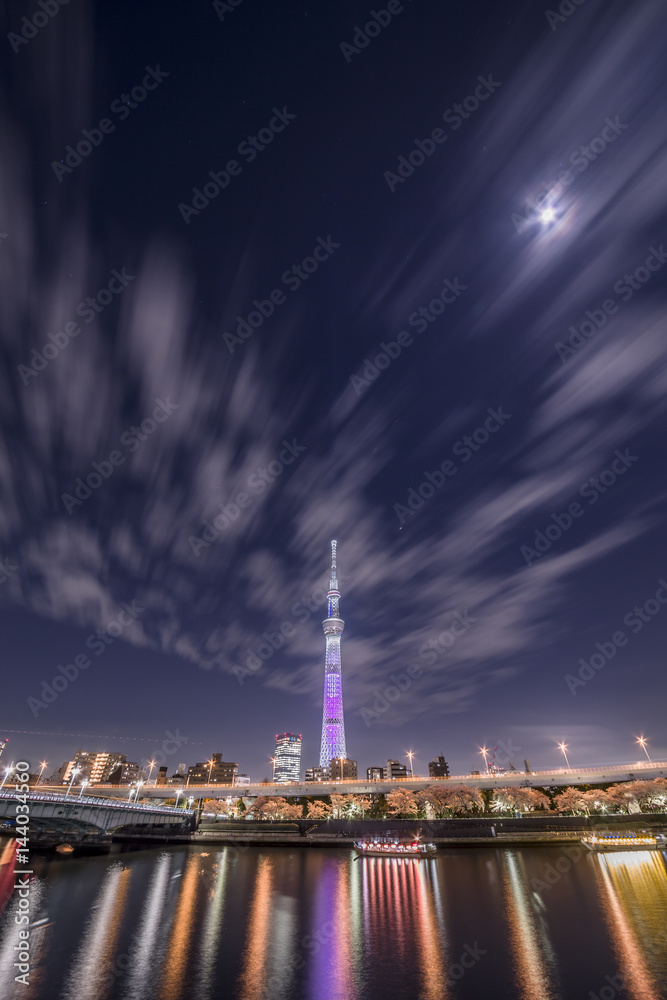 東京の夜桜