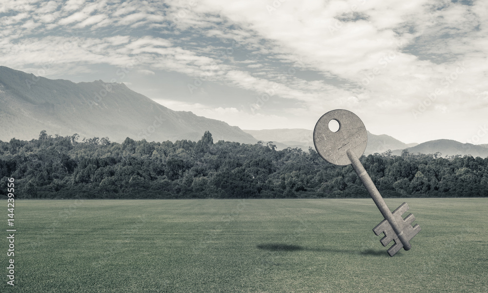 Conceptual background image of concrete key sign on green grass