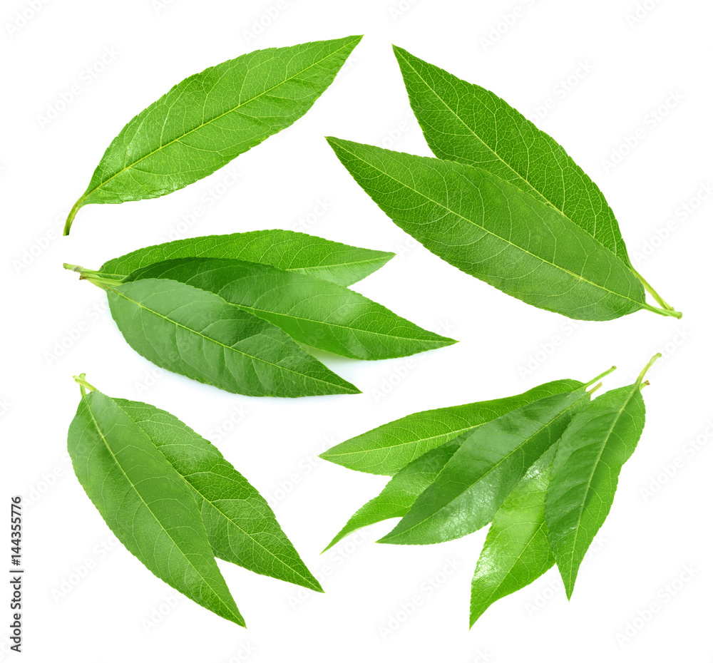 Peach leaves isolated on white background