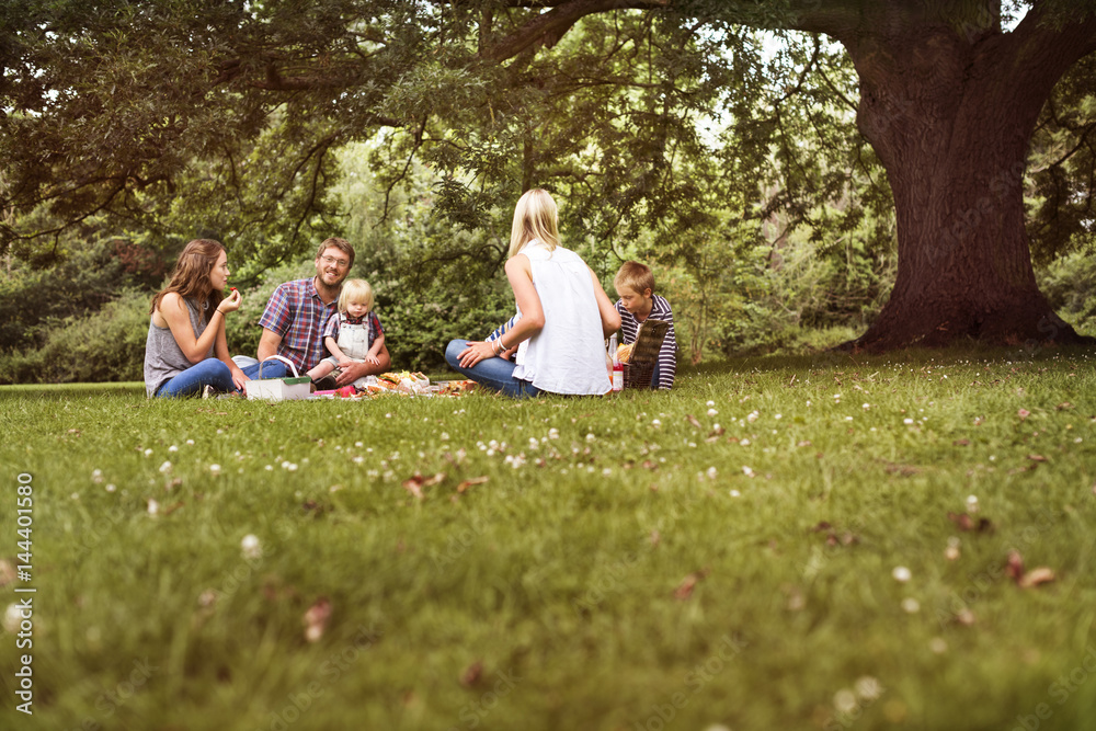 Family Generations Picnic Togetherness Relaxation Concept