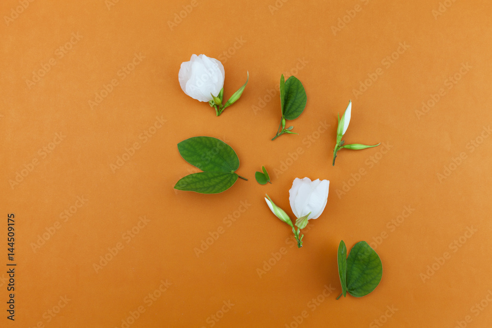 White flower and leafs on orange paper background.