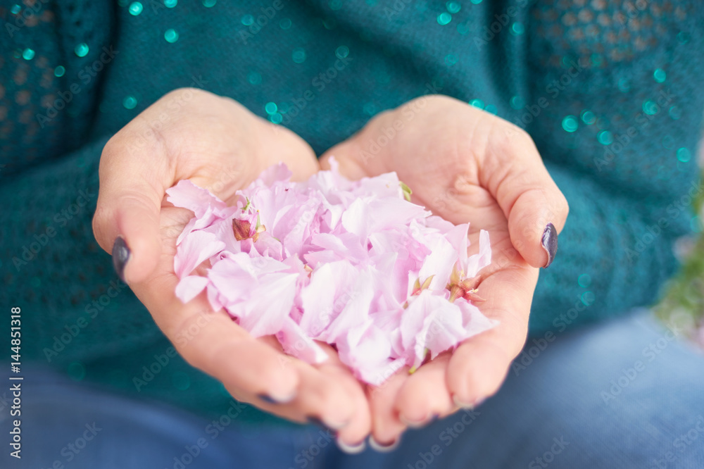 Woman hands with petals.