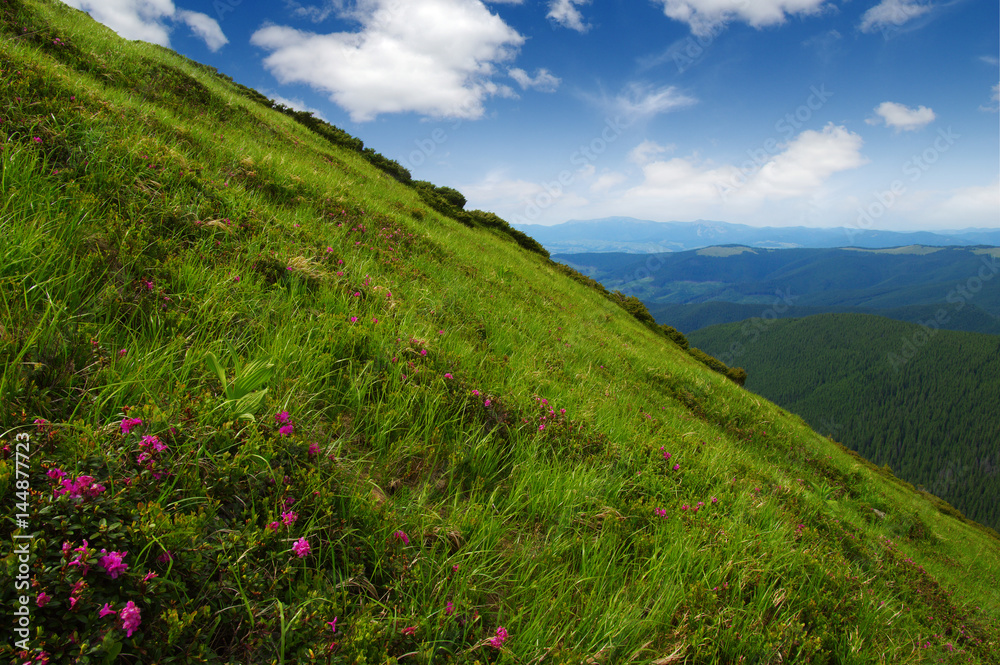 夏日山景