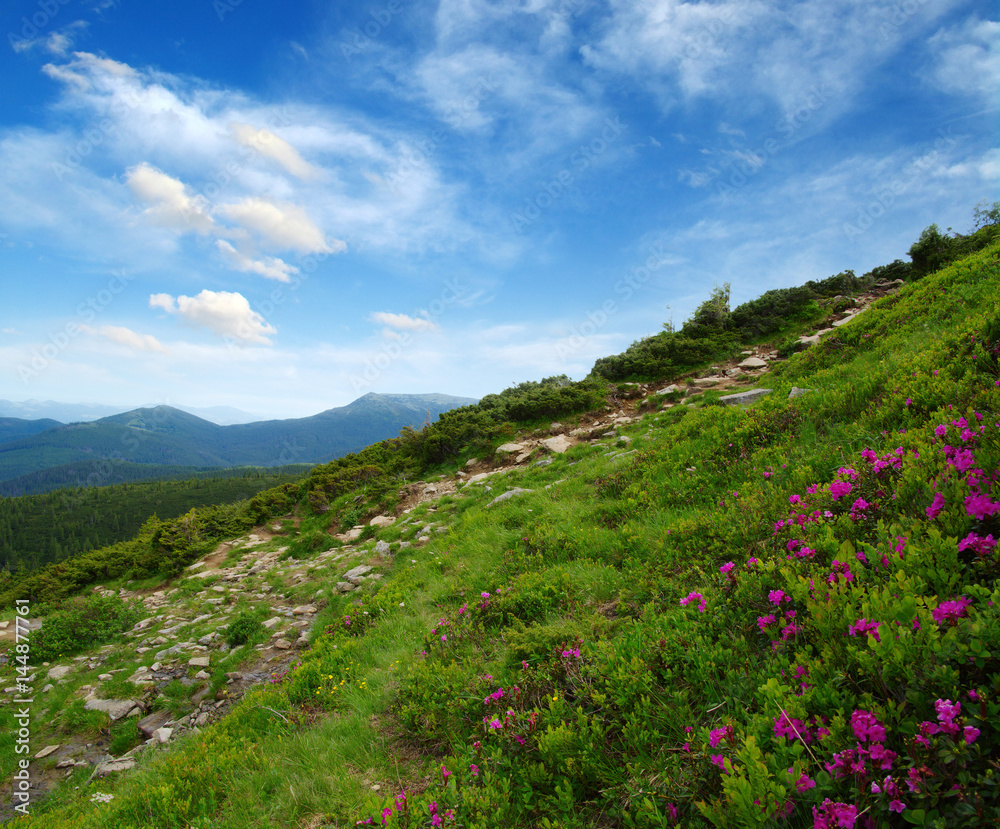 夏日山景