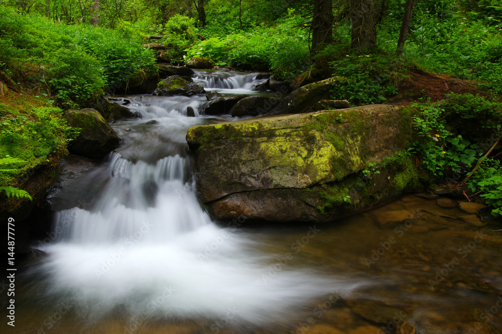 Creek in the woods