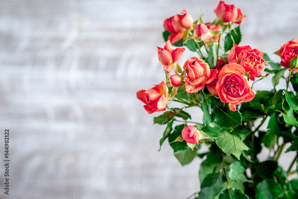 red roses in vase on wall background mock up