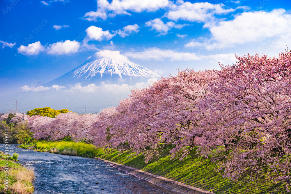 日本春天的富士山。