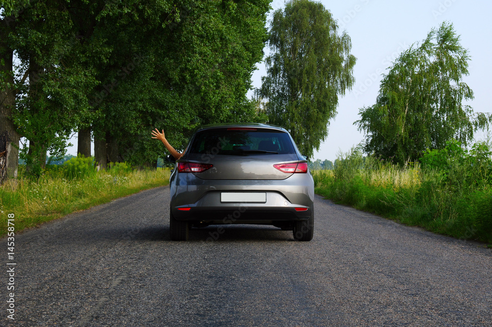 Car on asphalt road in nature